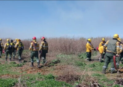 Se extinguieron nuevos focos de incendios en el Delta del Paraná, norte y centro del país