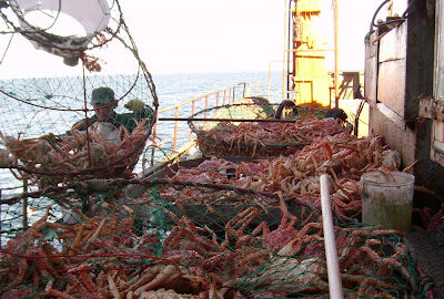 Patagónicos celebraron baja de aranceles a las exportaciones pesqueras