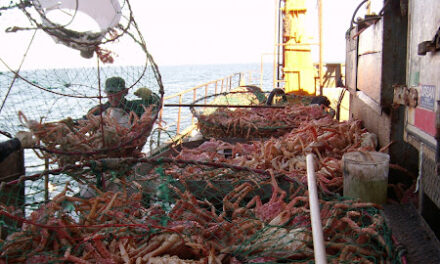 Patagónicos celebraron baja de aranceles a las exportaciones pesqueras