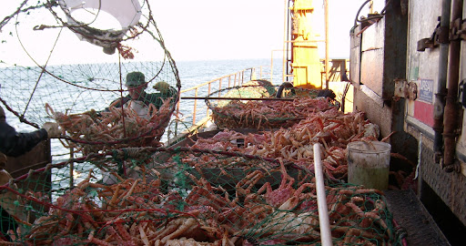 Patagónicos celebraron baja de aranceles a las exportaciones pesqueras