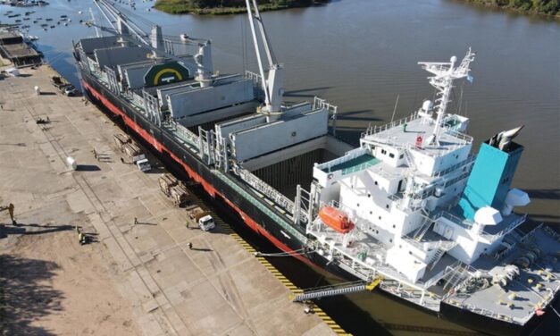 Desde puertos entrerrianos se exportarán 34,000 tn de madera