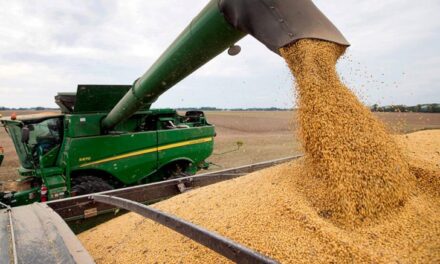 El Crush de soja pierde terreno en el Mercosur