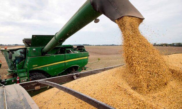 India anuncia nuevas medidas que benefician a las exportaciones sojeras argentinas