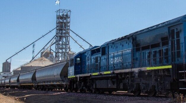 Trenes Argentinos Cargas tuvo un crecimiento del 30% en relación al mismo mes de 2020