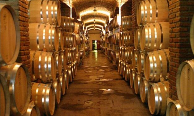 Frescura y sanidad de cosecha 2021 permitirá producción de excelentes vinos, coinciden especialistas