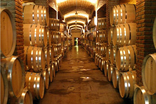 Frescura y sanidad de cosecha 2021 permitirá producción de excelentes vinos, coinciden especialistas