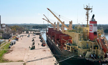 Desde Concepción del Uruguay zarpó un buque ultramarino con troncos de pino hacia India