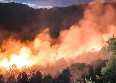 Agricultura declaró la emergencia agropecuaria en Chubut