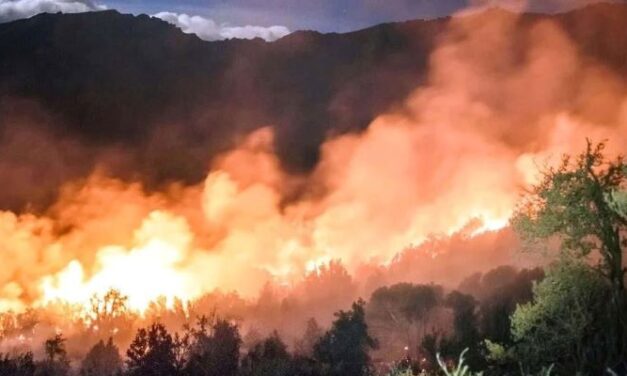 Agricultura declaró la emergencia agropecuaria en Chubut