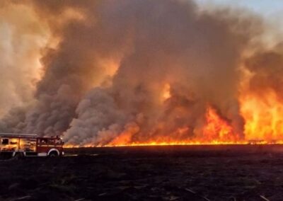 Siguen los incendios en el delta del Paraná