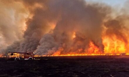 Siguen los incendios en el delta del Paraná