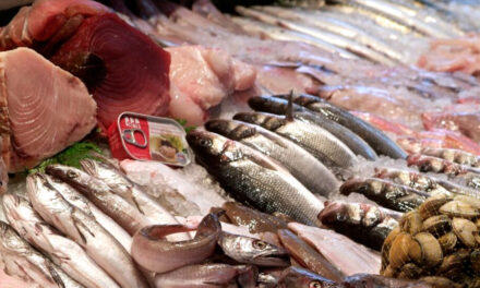 El sector pesquero exportó por más de US$ 1.000 en los primeros siete meses del año