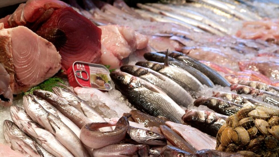 El sector pesquero exportó por más de US$ 1.000 en los primeros siete meses del año