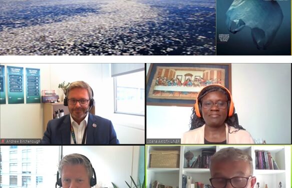 Prefectura participa en Webinar sobre protección del medio marino