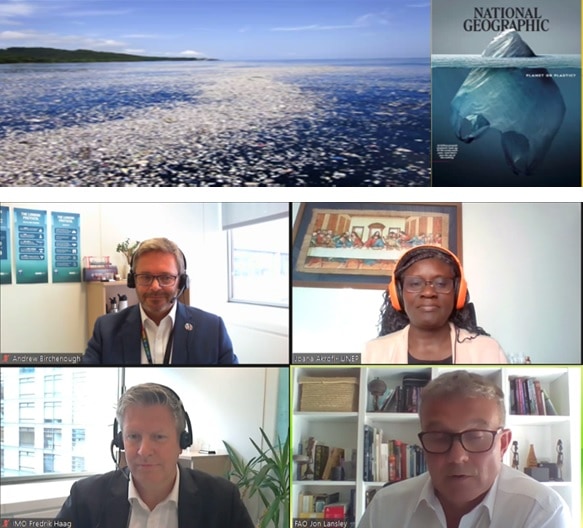 Prefectura participa en Webinar sobre protección del medio marino