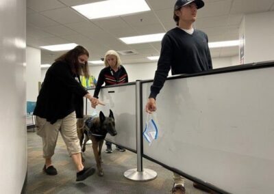 Cómo operan los perros que detectan Coronavirus en el aeropuerto de Miami