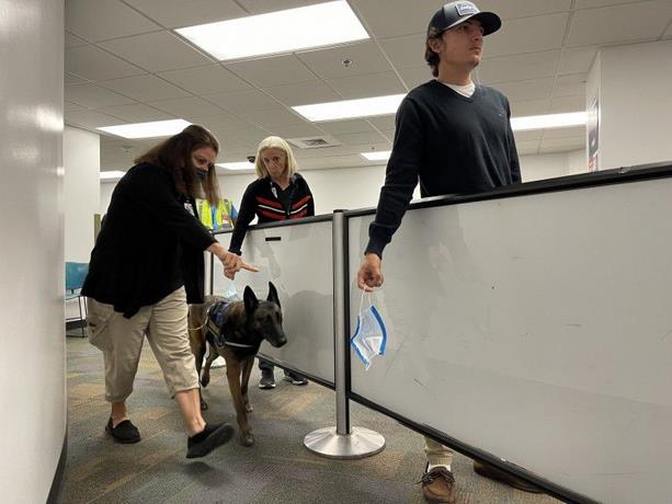Cómo operan los perros que detectan Coronavirus en el aeropuerto de Miami