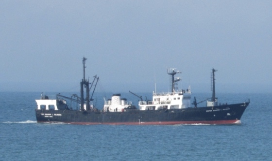 El Holmberg realiza una campaña de merluza en la Zona Común de Pesca Argentino-Uruguaya
