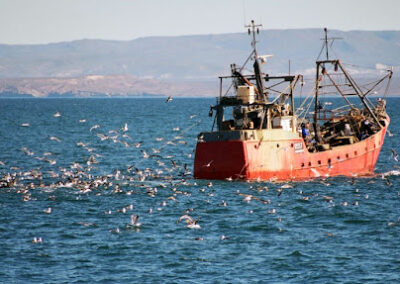 El Mar Argentino es uno de los espacios marinos más productivos del planeta