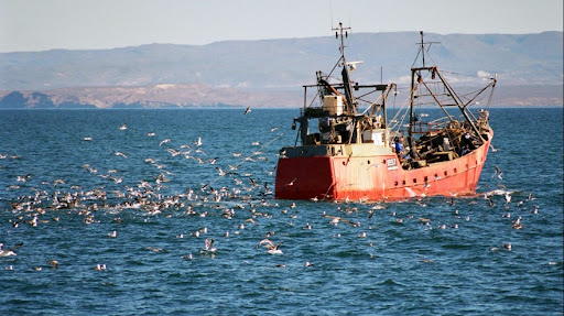 El Mar Argentino es uno de los espacios marinos más productivos del planeta