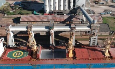 Empresarios chinos interesados en exportar desde el Puerto de Concepción del Uruguay