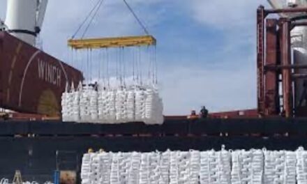 Desde el puerto San Pedro se  vuelve a exportar harina de trigo a Cuba después de 15 años