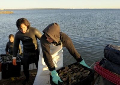 Chubut: Veda de captura de productos bivalvos en Riacho San José y Playa Bengoa