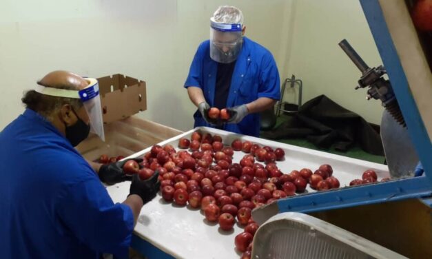 Inscripción de empaques y frigoríficos de frutas frescas en Protocolos de exportación
