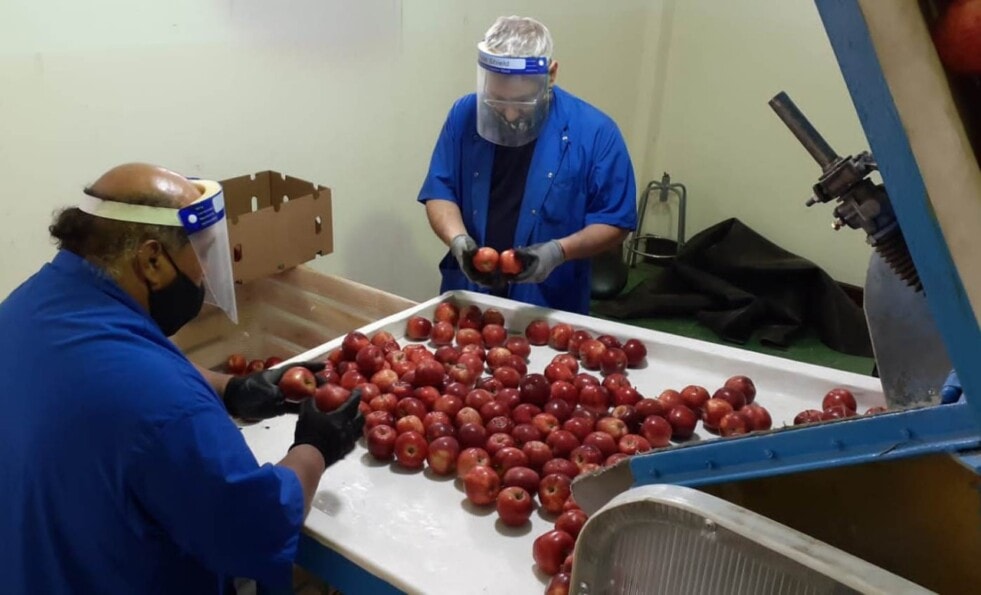 Inscripción de empaques y frigoríficos de frutas frescas en Protocolos de exportación
