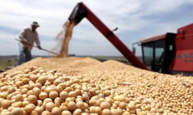 La semana abrió con importantes subas para los cereales en Chicago