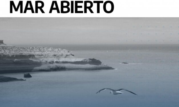 Inician los webinar «Mar Abierto» una iniciativa de «Pampa Azul»