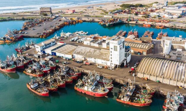 Puerto Mar del Plata:  analizan ofertas para la extracción y acopio de arena