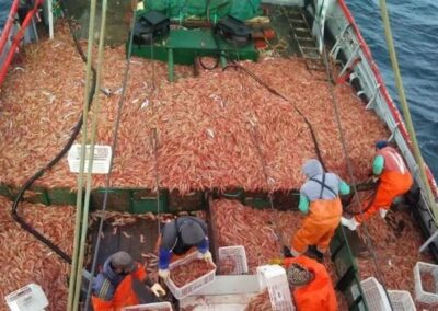 Modificaciones en la estructura arancelaria para el sector de pesca