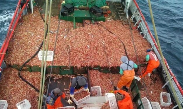 Modificaciones en la estructura arancelaria para el sector de pesca