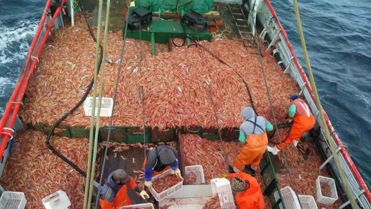 Modificaciones en la estructura arancelaria para el sector de pesca