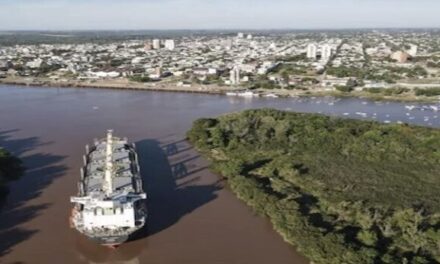 Puertos entrerrianos: un nuevo buque de carga en Concepción