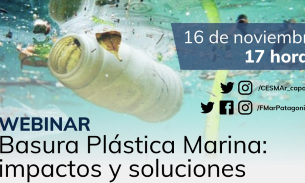 Cesmar desarrollará un Webinar sobre el problema de la basura marina