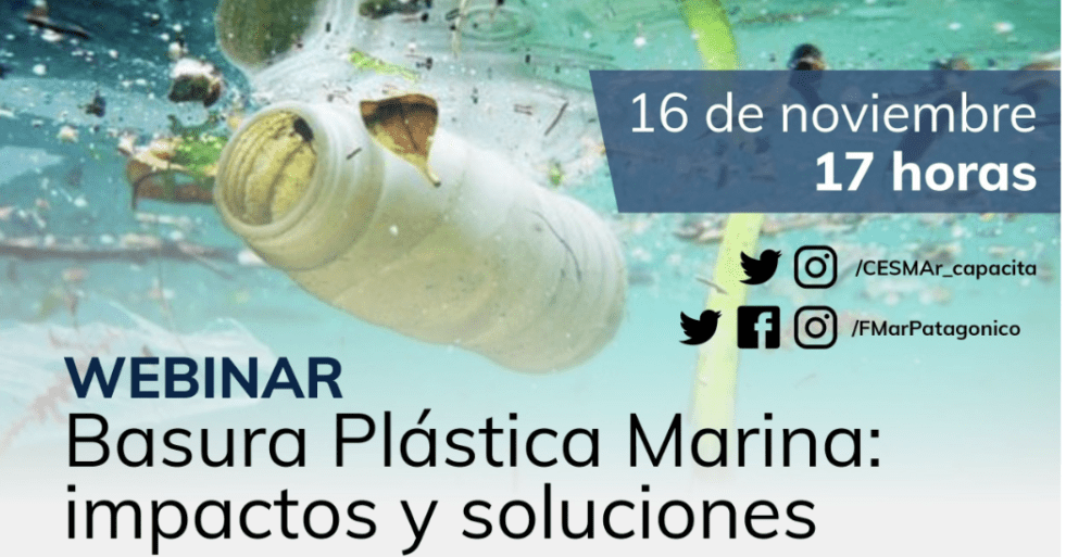 Cesmar desarrollará un Webinar sobre el problema de la basura marina