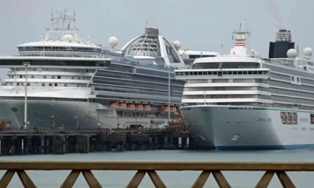 Quince cruceros recalarán en Puerto Madryn para esta temporada