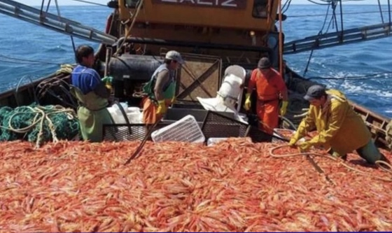 Seminario sobre la sustentabilidad en la pesca del langostino
