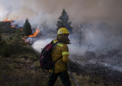 Incendios forestales: Ambiente envía más brigadistas a la Patagonia