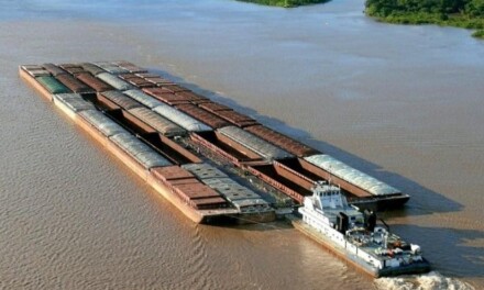 Fuerte reclamo del Centro de Patrones y otros gremios para evitar la fuga de buques mercantes hacia “banderas de conveniencia” en el río Paraná