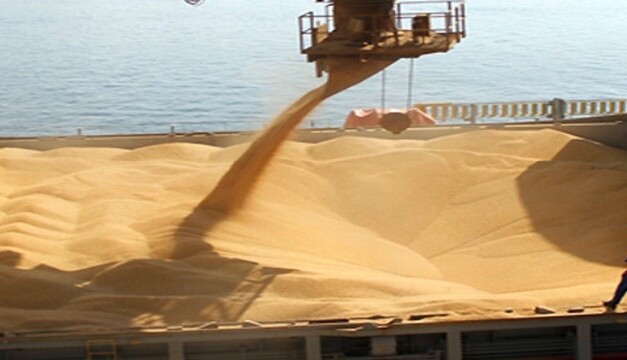 Fuerte aumento de exportaciones en octubre