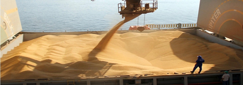 Fuerte aumento de exportaciones en octubre