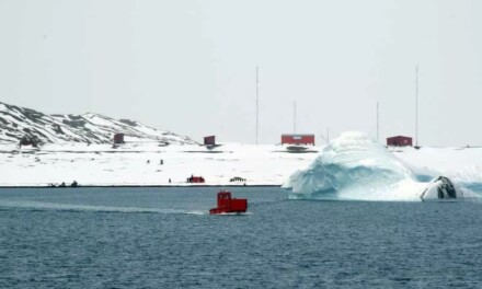 Plan Anual Antártico: 187 investigadores argentinos viajan al continente blanco