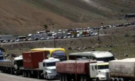 Fadeeac se pronuncia sobre los más de tres mil camiones demorados en la frontera con Chile