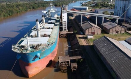 Presentan proyecto para crear un complejo productivo con astillero en Concepción del Uruguay