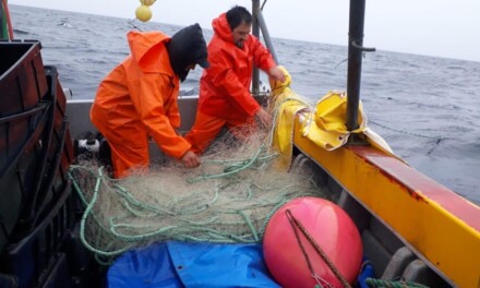 Prefectura establece nuevos requerimientos de seguridad para la pesca artesanal