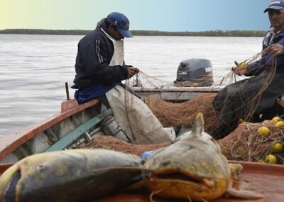 El Gobierno de Santa Fe otorgará una ayuda mensual a los pescadores afectados por la bajante del río Paraná