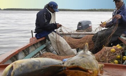 El Gobierno de Santa Fe otorgará una ayuda mensual a los pescadores afectados por la bajante del río Paraná